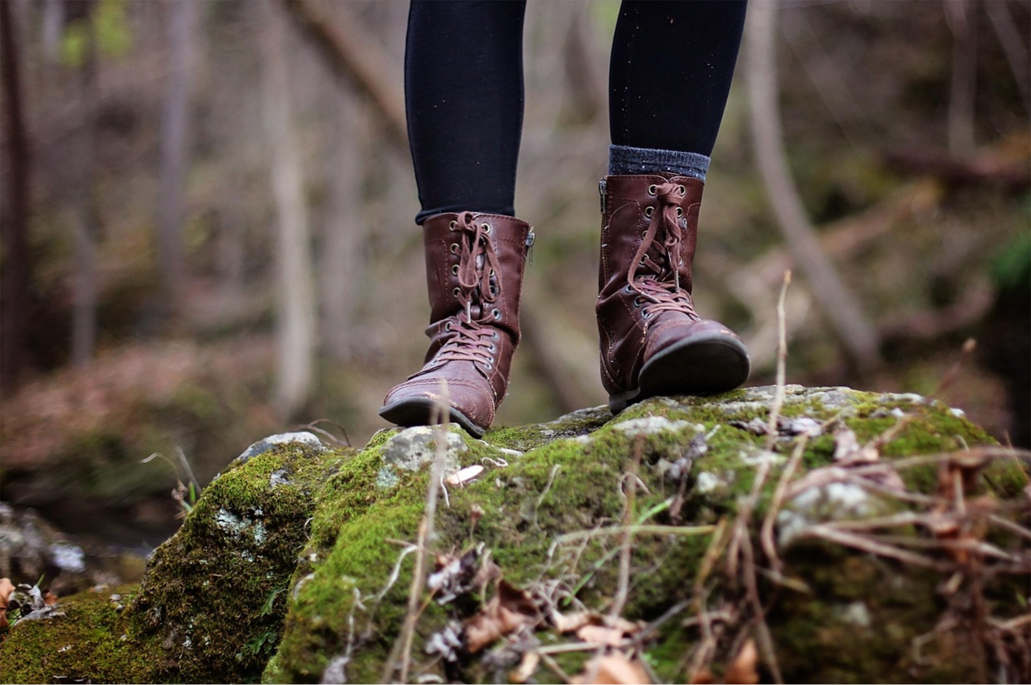 Things To Do Hike the Appalachian Trail & Long Trail
